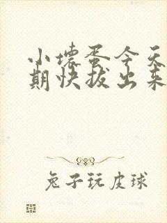 小坏蛋今天危险期快拔出来