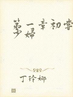 第一章初尝极品少妇
