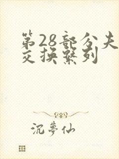 第28部分夫妇交换系列