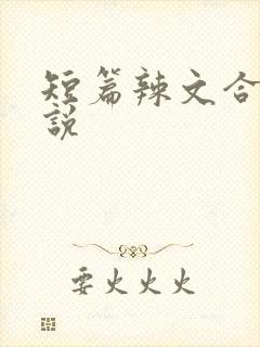 短篇辣文合集小说