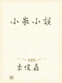 小米小说
