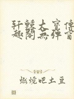 轩辕大宝传奇笔趣阁无弹窗