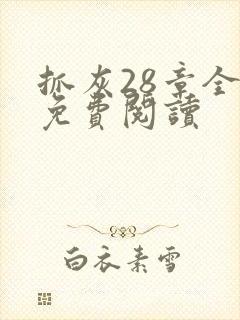 抓灰28章全部免费阅读