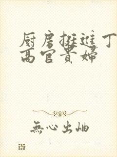 厨房挺进丁字裤高官贵妇