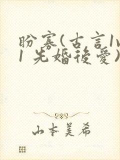 盼寡(古言1v1 先婚后爱)