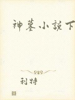 神墓小说下载