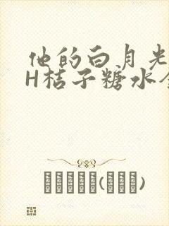 他的白月光HVH桔子糖水全文
