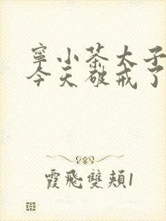 宁小茶太子殿下今天破戒了吗免费阅读