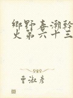 乡野春潮干柴烈火第六十三章