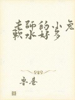 老师的小兔子好软水好多