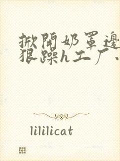 掀开奶罩边躁狠狠躁h工厂小说