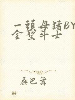 一头母猪BY黄金圣斗士