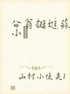 公翁挺进苏玥的小泬