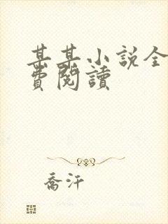 某某小说全文免费阅读