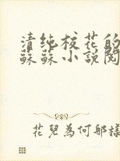 清纯校花的日常苏苏小说阅读全文