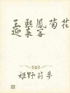 王熙凤菊花门初迎来客