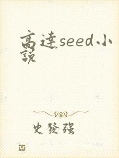 高达seed小说