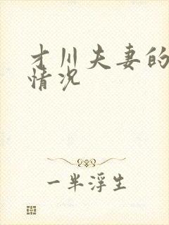 才川夫妻的恋爱情况