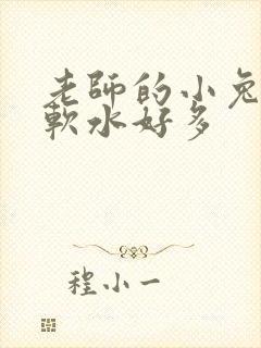 老师的小兔子好软水好多