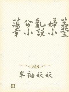 荡公乱妇第51章小说小莹