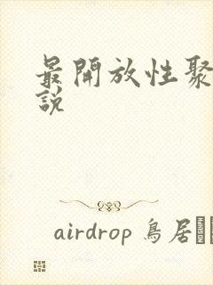 最开放性聚会小说