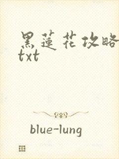 黑莲花攻略手册txt