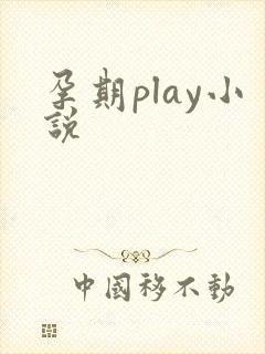 孕期play小说