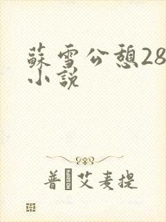 苏雪公憩28篇小说