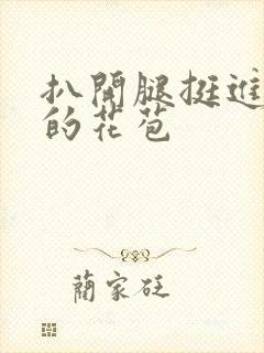 扒开腿挺进湿润的花苞