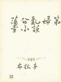 荡公乱妇第51章小说