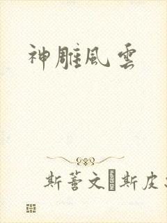 神雕风云