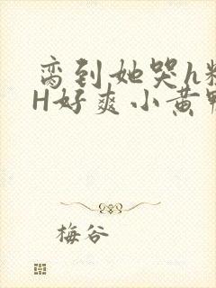 脔到她哭h粗话H好爽小黄鸭视频