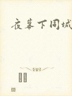 夜幕下同城网