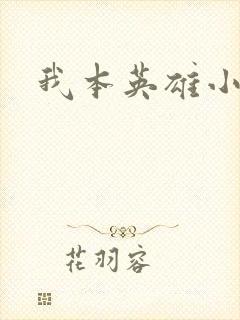 我本英雄小说