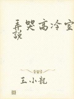 弄哭高冷室友小说