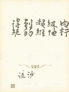 得到超级肉禽系统的维他柠檬茶