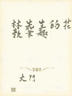 林先生的花式管教笔趣