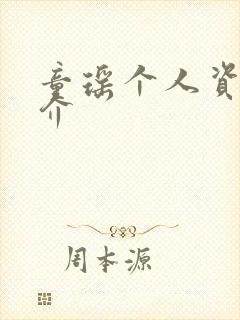 童瑶个人资料简介