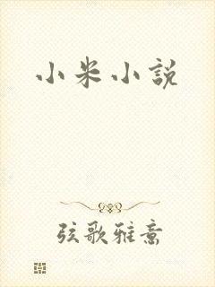 小米小说