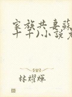 家族共妻苏苏(十千)小说免费