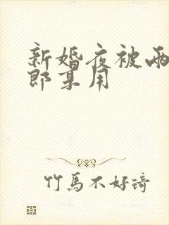 新婚夜被两个伴郎享用