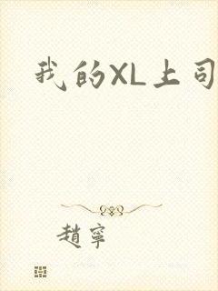我的XL上司