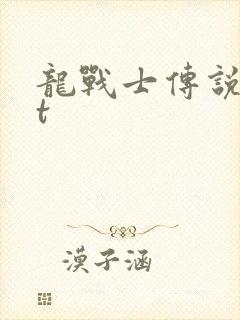 龙战士传说txt