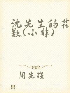 沈先生的花式调数(小非)