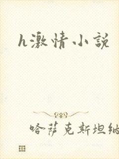 h激情小说