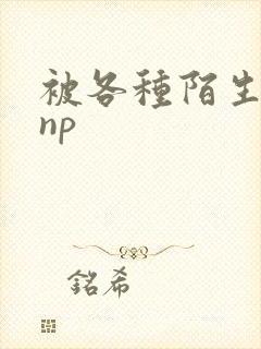 被各种陌生人 np