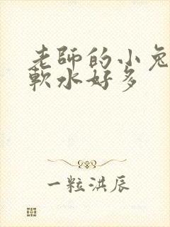 老师的小兔子好软水好多