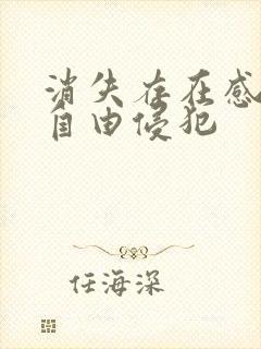 消失存在感消失自由侵犯