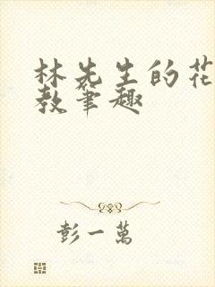 林先生的花式管教笔趣