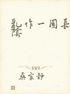 乱作一团长日光阴